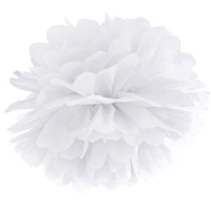 Pom pom 25cm bílý