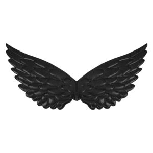 Andělská křídla černá 44x22 cm